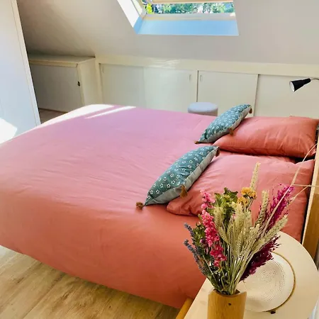 Bright Cocoon With Terrace Near